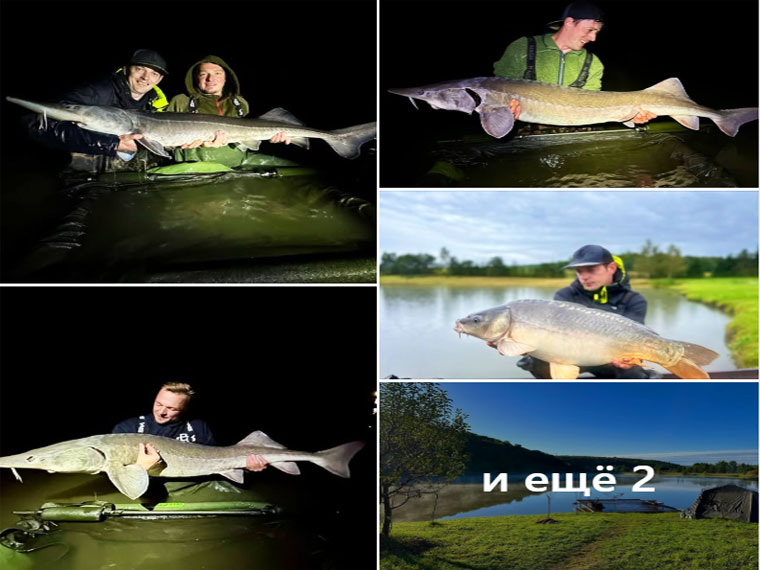 Рыбак поймал 28-килограммового осетра на Львовщине