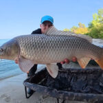 Нужно ли уже менять летнюю прикормку на осеннюю, и стоит ли убирать сладкие ароматы (бисквит, ваниль) при ловле леща и плотвы?