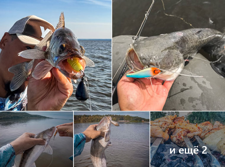 Судак в Каневе – где ловил киевский рыболов