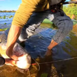 Календар рибалки на жовтень 2025: де і коли чекати на клювання