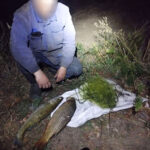 Собрался на реку с быстрым течением — используй плетенку, а не леску