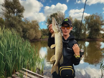 На Дністрі зафіксовано осінній жор щуки