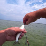 Перевірені хитрощі для успішної риболовлі – що потрібно знати