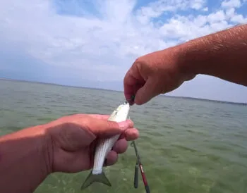 Рибалка показав, як ловити кефаль на Тилігулі