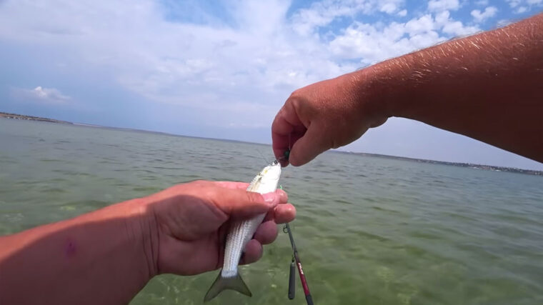 Рибалка показав, як ловити кефаль на Тилігулі