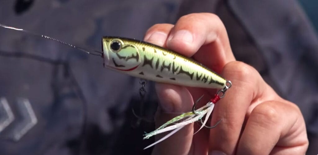 Який поппер вибрати, якщо їх в магазині сотня