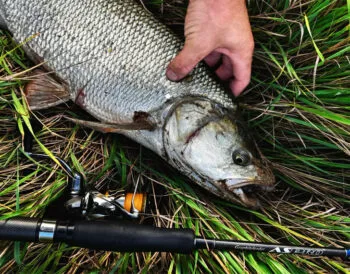 Український рибалка повідомив про успішну ловлю жереха на волкер