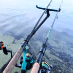 В Чехии поймана тигровая форель длиной 65 см — подробности и фото