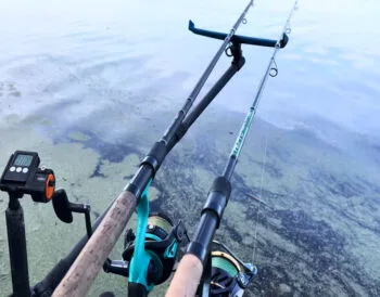 Фідер восени: як обрати квівертип для ляща