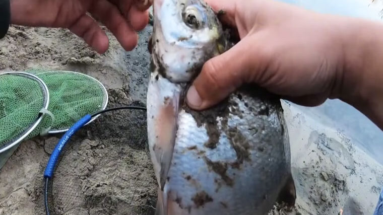 Фідерна ловля наприкінці жовтня: де шукати рибу і як не перегодувати