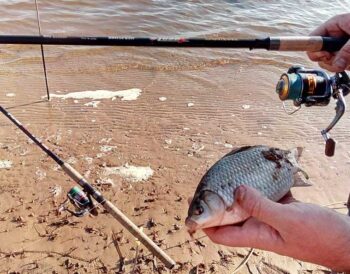 Фідерна ловля в жовтні: де шукати рибу та як вибрати місце