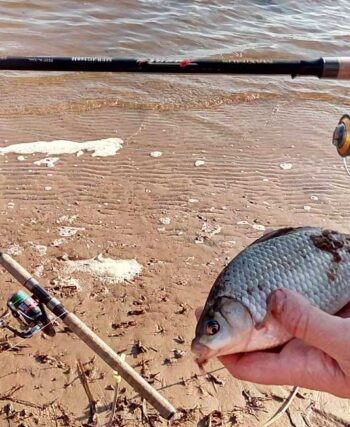 Фідерна ловля в жовтні: де шукати рибу та як вибрати місце