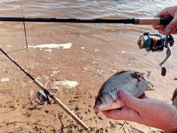 Фідерна ловля в жовтні: де шукати рибу та як вибрати місце