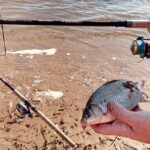 Щука активизируется перед похолоданием: какие приманки выбрать в октябре