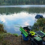 Карп в октябре: эксперт объяснил, как добиться клева в холодной воде