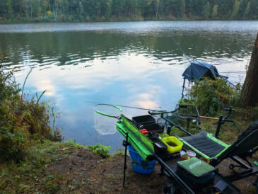 Фидерная тактика на сегодня: где искать леща и как выбрать прикормку в позднюю осень
