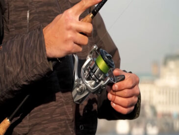 Где в Украине можно ловить рыбу бесплатно: правила и законы