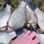 В Черкасской области спиннингистке удалось поймать щуку весом около 3 килограммов (Фото)