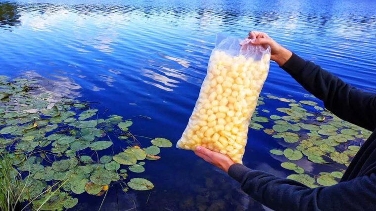 Насадка из кукурузных палочек