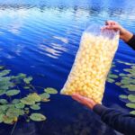 Пізня осінь біля води: експерт розповів, як вибрати місце для фідерної ловлі в жовтні