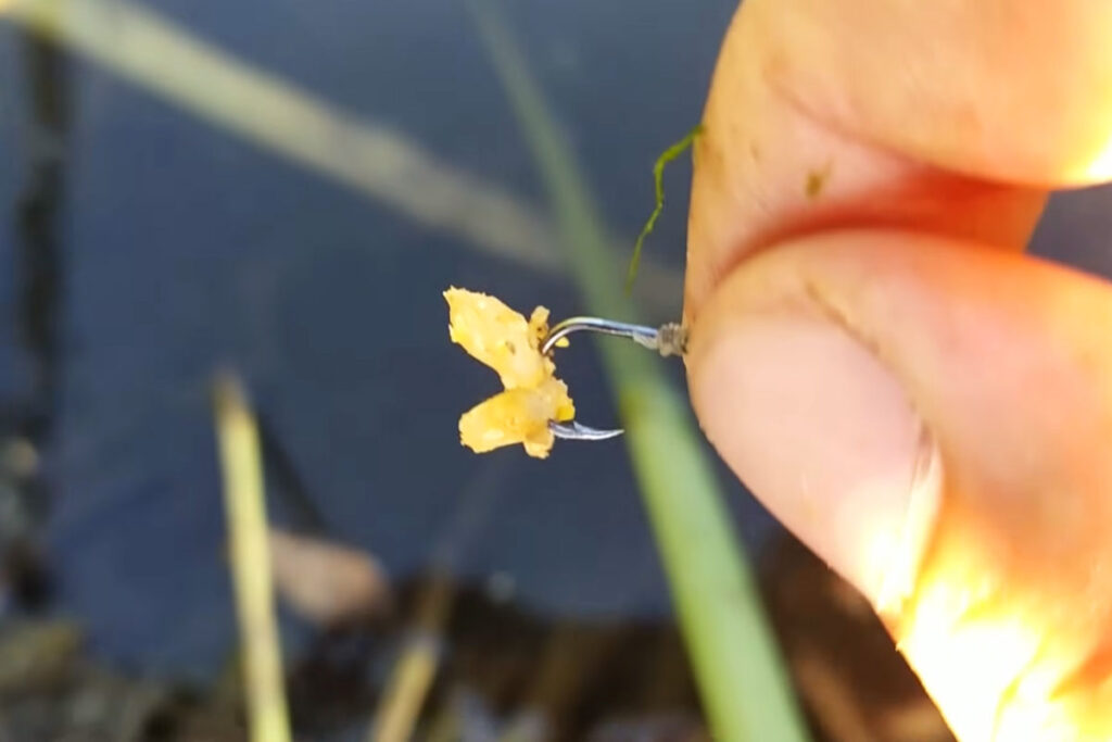 Перловка - найкраща насадка на карася