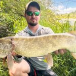 Осіння мікруха: одна приманка, яка завжди ловить окуня