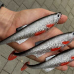 Осіння щука в Україні: які блешні радять рибалки (Відео)