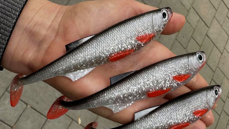 В Україні представили нову принаду Jaxon Intensa Tryton