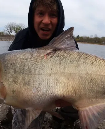 Рибалка спіймав трофейного товстолоба: улов вагою 22 кг