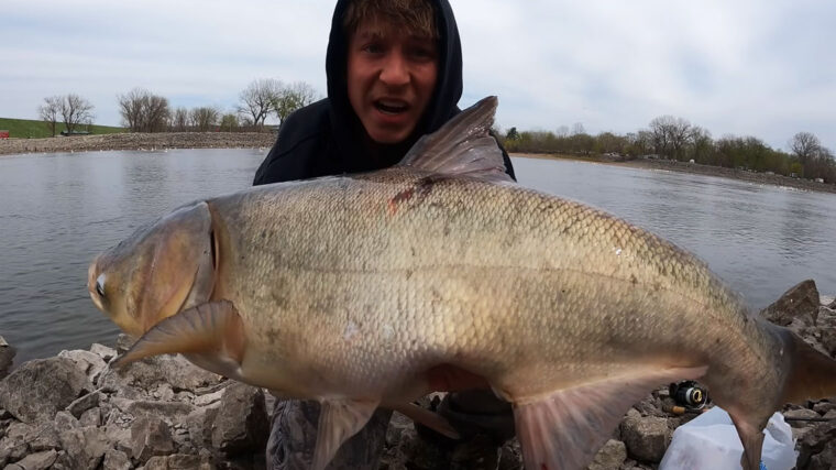 Рибалка спіймав трофейного товстолоба: улов вагою 22 кг