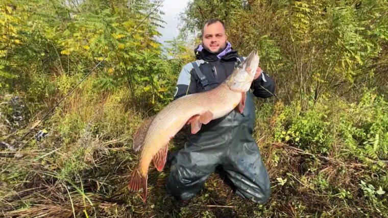 Рибалки спіймали величезну щуку на Дніпрі: відео трофею