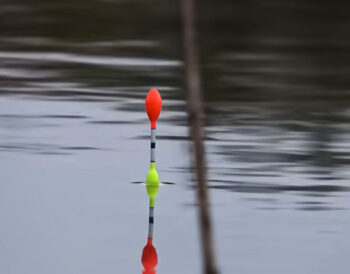 Прогноз кльову риби в Україні на тиждень 6-12 жовтня 2025