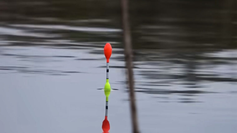 Прогноз кльову риби в Україні на тиждень 6-12 жовтня 2025