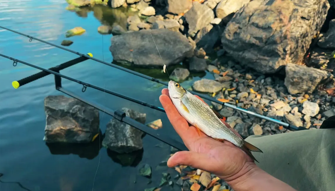 Топ-3 фидера для реки в 2025 году: бюджет, универсал и профи