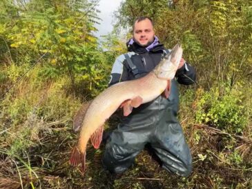 Рыбаки поймали огромную щуку на Днепре: видео трофея
