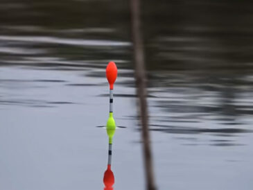 Прогноз клева рыбы в Украине на неделю 6–12 октября 2025