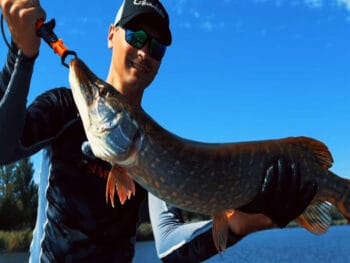 Який силікон працює восени - секретна принада на щуку