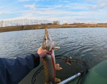Спінінг при похолоданні: кращі проводки для щуки та судака