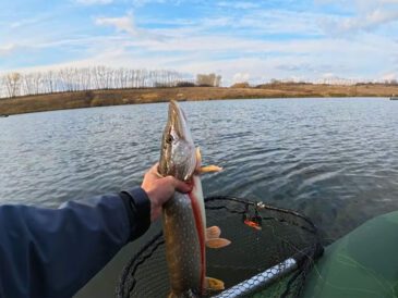 Спінінг при похолоданні: кращі проводки для щуки та судака