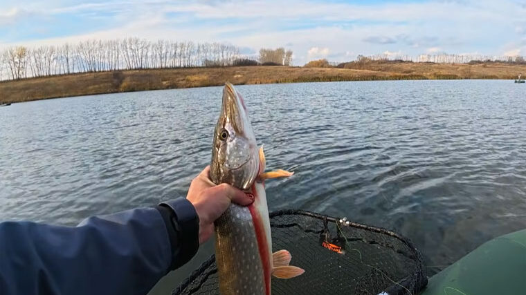Спінінг при похолоданні: кращі проводки для щуки та судака