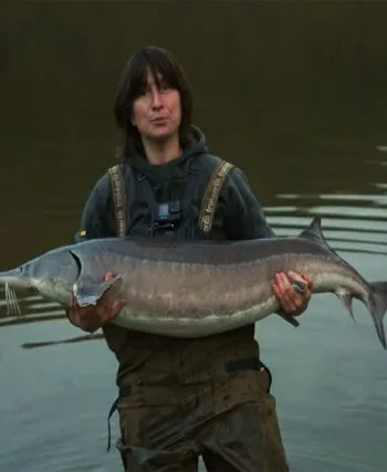 Осінній жор осетра на Львівщині: як спіймати трофей на 24 кг