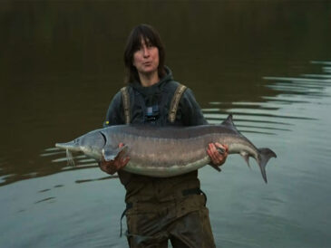 Осінній жор осетра на Львівщині: як спіймати трофей на 24 кг