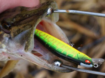 Як ловити на Lucky John Basara 70SP пасивного хижака