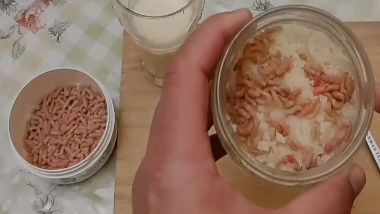 Як змусити клювати карася і ляща - лайфхак з опаришем