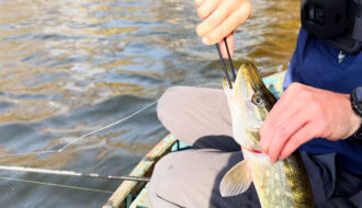 5 приманок, на которые щука атакует в ноябре