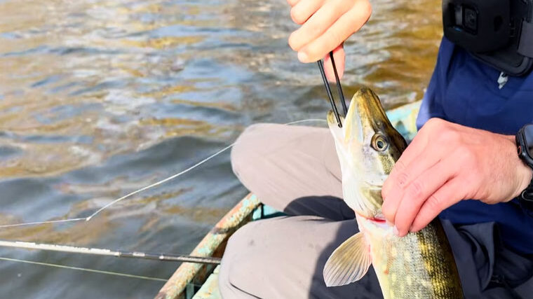 5 приманок, на які щука атакує в листопаді