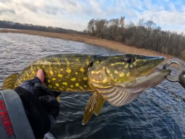 Чтение рельефа: как найти осеннюю щуку на подводных "столах"