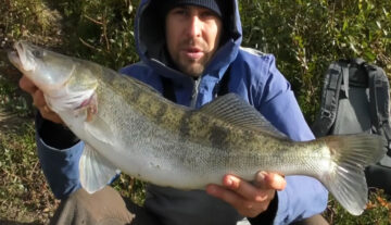 Де клює судак на Десні: джиг у листопаді