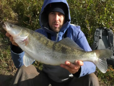 Десна зараз у топі – рибалки розповіли, де клює судак (Відео)