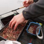 5 приманок, на которые щука атакует в ноябре: советы от Богдана Проценко